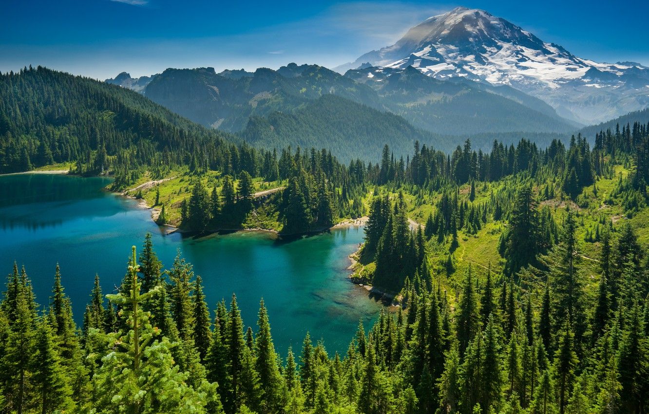 Oregon State